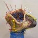 basket weaving, natalie miebach, green arts, sustainable arts, eco art, changing weather, installations, weather tracking, global warming
