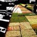 studio gang, feeder, chicago, ohio, green bridge, bridge farm, green space, urban development, urban farm, green architecture, eco architecture, sutstainable architecture, green design