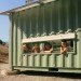 gensler, eco cabins, shipping containers, boy scouts, catalina island, green design, sustaianble architecture