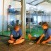 gensler, eco cabins, shipping containers, boy scouts, catalina island, green design, sustaianble architecture