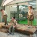 gensler, eco cabins, shipping containers, boy scouts, catalina island, green design, sustaianble architecture