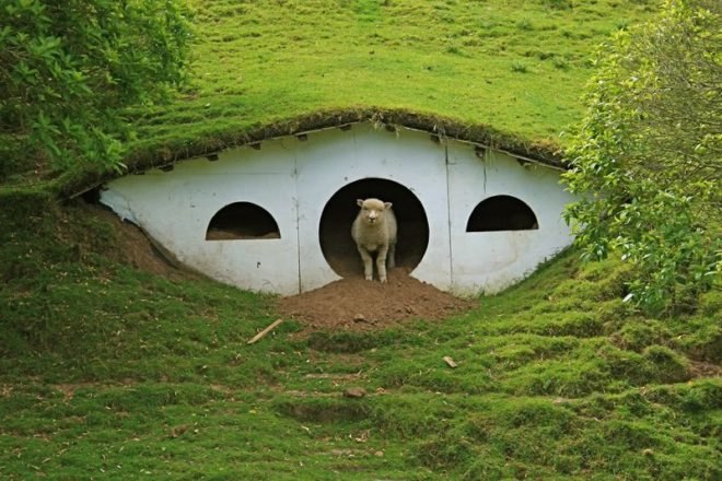 hobbiton, new zealand, lord of the rings, underground home, earthen home, green design