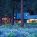 Tahoe Regional Planning Agency, Green Building, Sustainable Building, Green Home, Sustainable Home, Green House, Sustainable House, Sustainable Design, Green Design, Turnbull Griffin Heasloop, Lake Tahoe Home