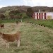Barn house, hybrid barn, hybrid house, renovated barns, country house, farmhouse, live/work space, Colombia, countryside, Antonio Yemail, Michel Pineda, Oficina Informal, recycled oak wine barrels, reclaimed doors and furniture, stone