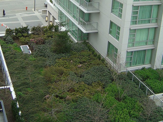 rainwater collection, green roof, how do green roofs work, how do green roofs help, new york green roof, new york green sidewalks, new york green spaces, michael bloomberg green initiatives, new york green initiatives, planyc