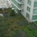 rainwater collection, green roof, how do green roofs work, how do green roofs help, new york green roof, new york green sidewalks, new york green spaces, michael bloomberg green initiatives, new york green initiatives, planyc