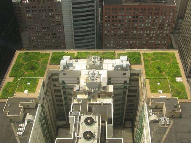rainwater collection, green roof, how do green roofs work, how do green roofs help, new york green roof, new york green sidewalks, new york green spaces, michael bloomberg green initiatives, new york green initiatives, planyc