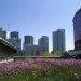 rainwater collection, green roof, how do green roofs work, how do green roofs help, new york green roof, new york green sidewalks, new york green spaces, michael bloomberg green initiatives, new york green initiatives, planyc