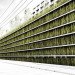 shinjuku gardens, cheungvogl, tokyo, parking garage, green roof, living green wall, green design, urban park