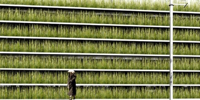 shinjuku gardens, cheungvogl, tokyo, parking garage, green roof, living green wall, green design, urban park