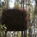 treehotel, sweden, prefab hotel, green building, sustainable architecture, eco hotel