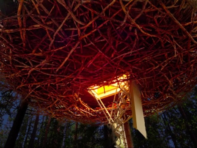 treehotel, sweden, prefab hotel, green building, sustainable architecture, eco hotel