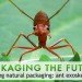sustainable design, green design, packaging the future, green packaging, ants, natural packaging, eco design, biodegradable packaging, ant carapace
