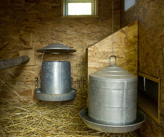 Home farming, chicken coops, humane chicken coops, green chicken coops, diy chicken coops, raising chickens, backyard chickens, hens, hen coops, Mitchell Snyder, Shelley Martin, Portland, yard chickens, rooftop gardens, living roof, organic farmic, organic eggs