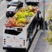 sustainable design, green design, green transportation, bus planter, green roofed bus, bus roots, marco castro cosio, gardening