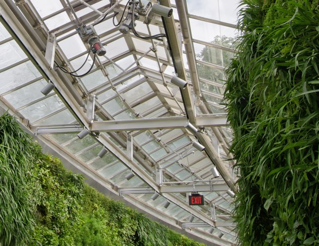 “green wall”, “living wall”, Green Wall Living Architecture, Kim Wilkie Associates, largest green wall, Longwood Gardens, Vancouver green wall