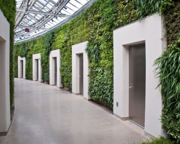 Largest Green Wall in North America to be Unveiled Tomorrow!