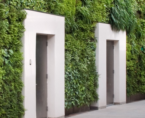“green wall”, “living wall”, Green Wall Living Architecture, Kim Wilkie Associates, largest green wall, Longwood Gardens, Vancouver green wall