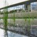 omega center for sustainable living, leed platinum, sustainable building, living building, living building challenge, omega center, omega institute, bnim architects