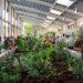omega center for sustainable living, leed platinum, sustainable building, living building, living building challenge, omega center, omega institute, bnim architects