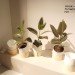 sustainable design, green design, rvw, green furnishings, london design festival, green products, eco design, sustainably-sourced materials, green interiors