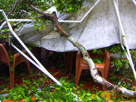 shipping container, rainforest, research center, rain forest, container home, prefabricated housing, hurricane, australia, cyclone larry, earth science australia