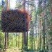 treehotel, sweden, prefab hotel, green building, sustainable architecture, eco hotel