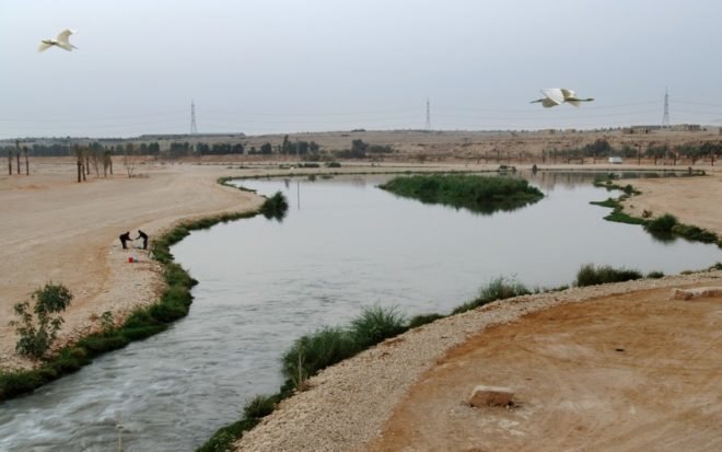 watershed management, desert water treatment, Riyadh park, Desert river, Jens Bodeker, Wadi Hanifa, Aga Khan Award, watershed restoration,