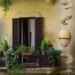 acqua viva, araceli de la parra, rainwater, rainwater collection, flowform, green design, eco design