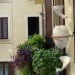 acqua viva, araceli de la parra, rainwater, rainwater collection, flowform, green design, eco design