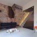 black pearl, green renovation, studio rolf.fr, zecc architects, rotterdam, green design