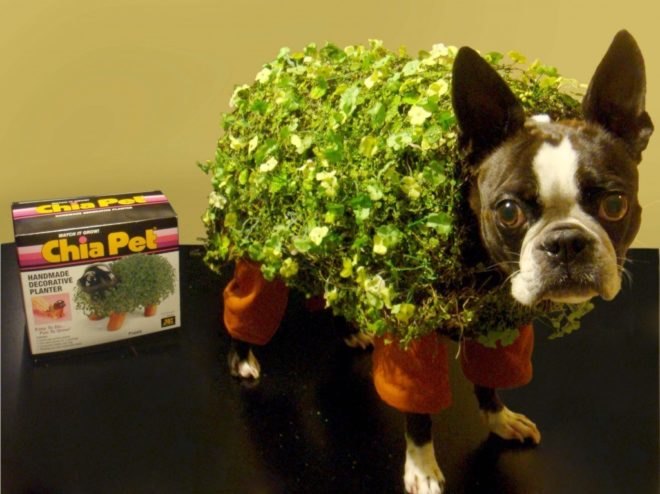 green halloween contest winners, Green Halloween Costumes, halloween costume ideas, Inhabitat Green Halloween Costume Contest, inhabitat halloween contest, sustainable halloween costumes