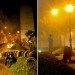 green invasion, invasion verde, lima, peru, pop up park, urban park, green design