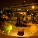 green invasion, invasion verde, lima, peru, pop up park, urban park, green design