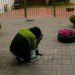 green invasion, invasion verde, lima, peru, pop up park, urban park, green design