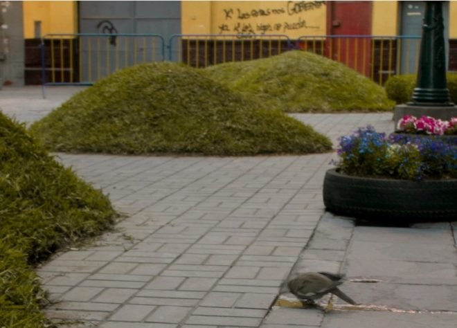 green invasion, invasion verde, lima, peru, pop up park, urban park, green design
