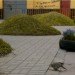 green invasion, invasion verde, lima, peru, pop up park, urban park, green design