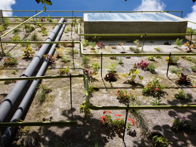 harmonia 57, triptyque, sao paulo, living wall, green roof, eco office, green design, sustainable architecture