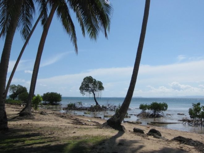 Jean-Michel Cousteau Resort, fiji, eco tourism, eco resort, sustainable architecture,
