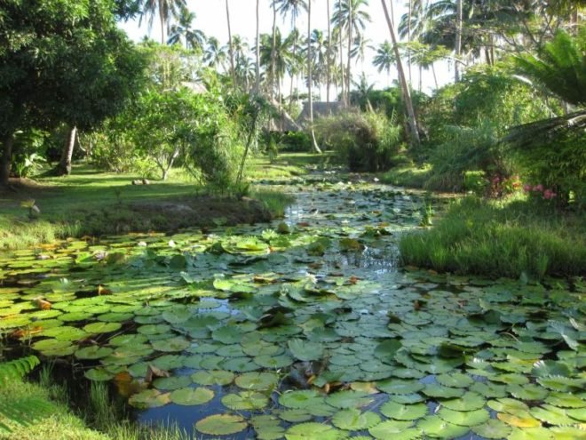 Jean-Michel Cousteau Resort, fiji, eco tourism, eco resort, sustainable architecture,