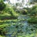 Jean-Michel Cousteau Resort, fiji, eco tourism, eco resort, sustainable architecture,