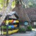 Jean-Michel Cousteau Resort, fiji, eco tourism, eco resort, sustainable architecture,