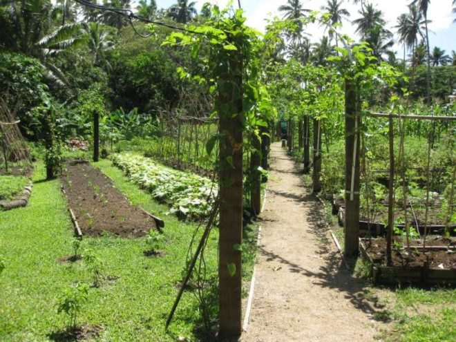 Jean-Michel Cousteau Resort, fiji, eco tourism, eco resort, sustainable architecture,