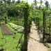 Jean-Michel Cousteau Resort, fiji, eco tourism, eco resort, sustainable architecture,