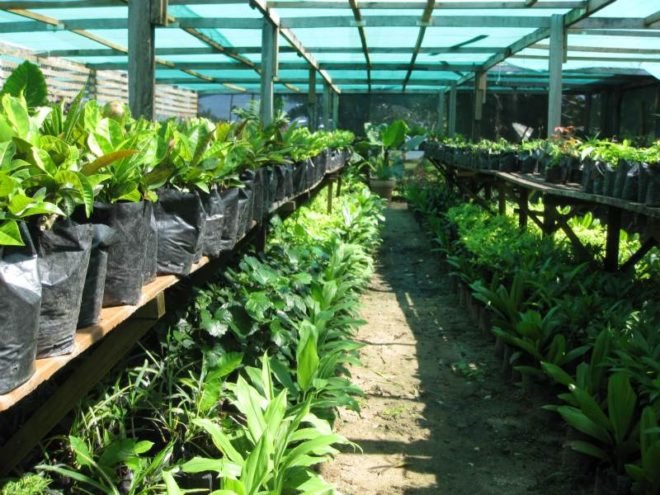 Jean-Michel Cousteau Resort, fiji, eco tourism, eco resort, sustainable architecture,