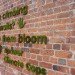 curb media, uk, british design, natural, advertising, logos, ad, sand, snow, plants, eco, green, sustinable, graphics
