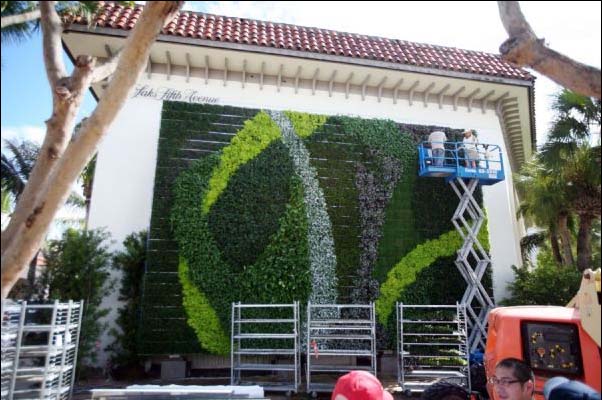"Living surface", "Vertical garden", "green art", time, green, garden, Florida,