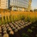 Port of Portland Headquarters, pdx, portland, zgf, leed gold, green building, sustainable architecture