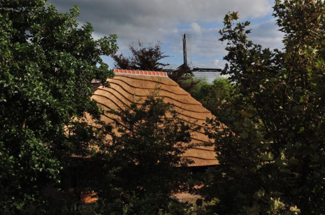 reet barn, 24hr architecture, green architecture, local materials, eco materials, eco architecture, reeds, natural materials, sustainable architecture, green design, netherlands, barn
