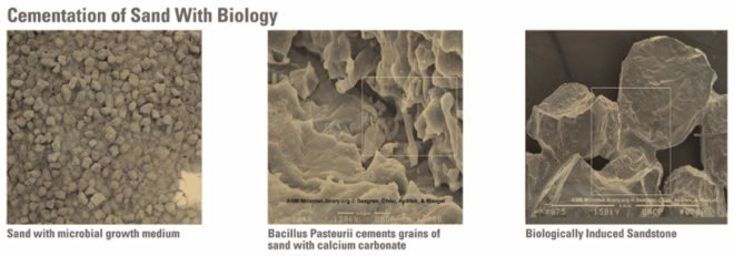 green asphalt, asphalt roads, sand bacteria roads, design boom iida awards, iida awards 2010, sand stone road iida 2010, sand stone road, Thomas Kosbau and Andrew Wetzler, kosbau wetzler iida,